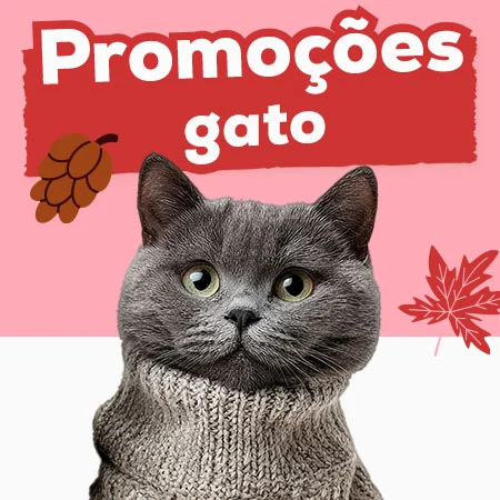 Promoções para gato