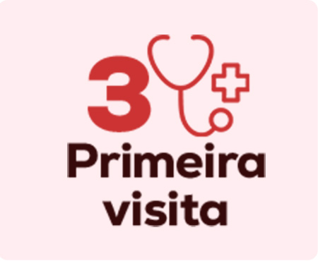 Prepare a primeira consulta com especialistas. Clínica veterinária, grooming...