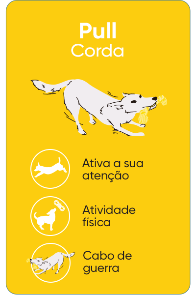 Pull - Brinquedos de corda para brincar ao busca