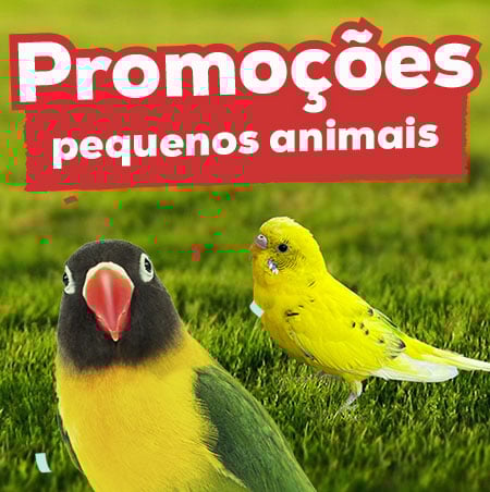 Kiwoko Days: Promoções para pequenos animais
