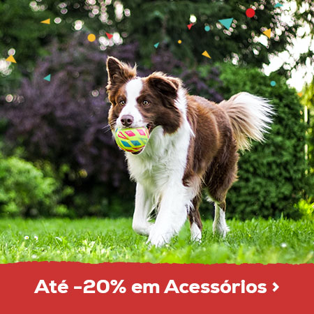 Até -20% em acessórios