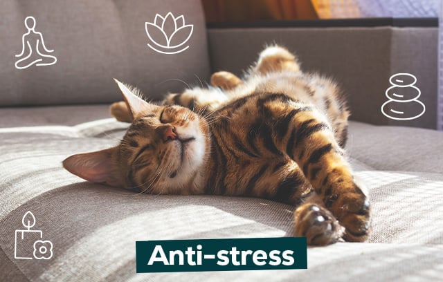 Anti-stress