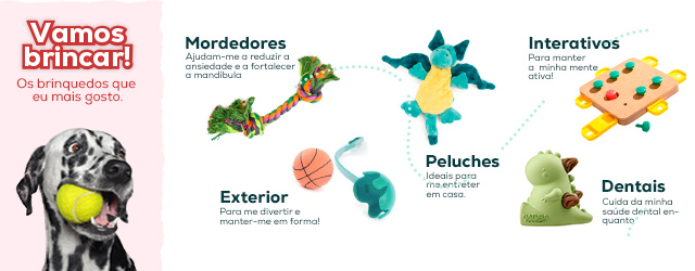 brinquedos 