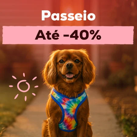 Até 40% de desconto em seleção de acessórios de passeio