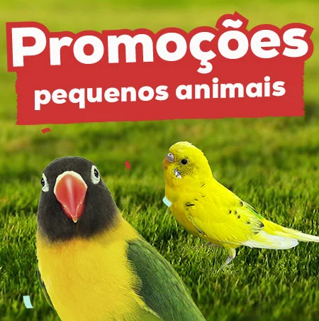 Promoções em pequenos animais