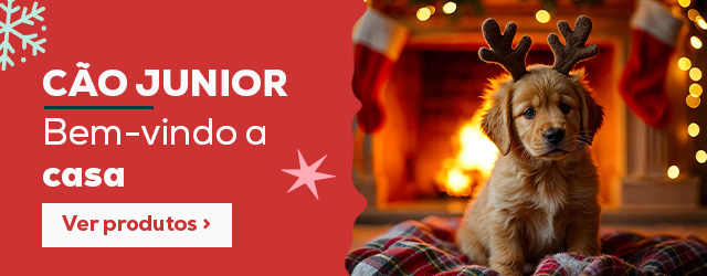 Cachorro: Bienvenido a casa por navidad