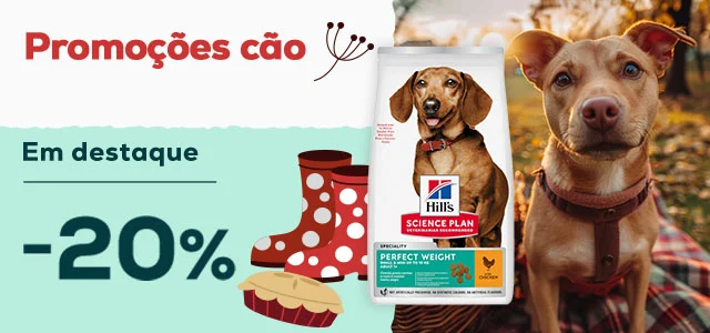 Hill's: 20% de desconto em seleção de ração para cão