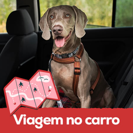 Viagem no carro