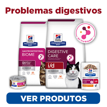 Alimentação para melhorar a digestão e resolver os transtornos digestivos do seu gato
