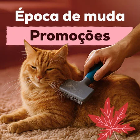 Promoções para a época de muda Promoções para a época de muda
