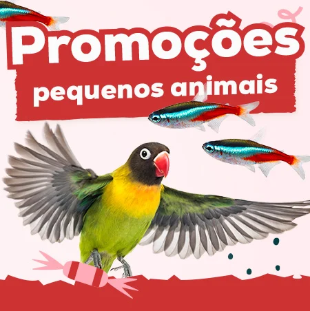 Promoções para pequenos animais