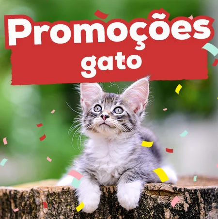 Promoções em gato