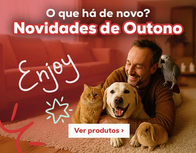Descubra as melhores novidades de Outono