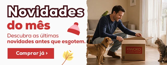 Descubra as novidades de Novembro