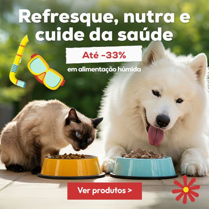 Refresque, nutra e cuide da sua saúde: Até -33% em húmidos