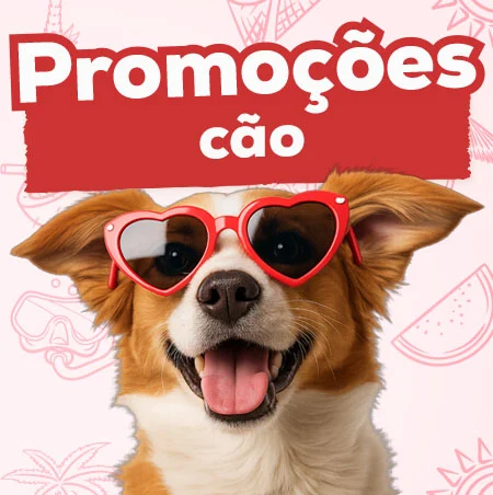 Promoções para cão