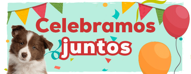 10º Aniversário: Até -50% numa seleção de acessórios para cão