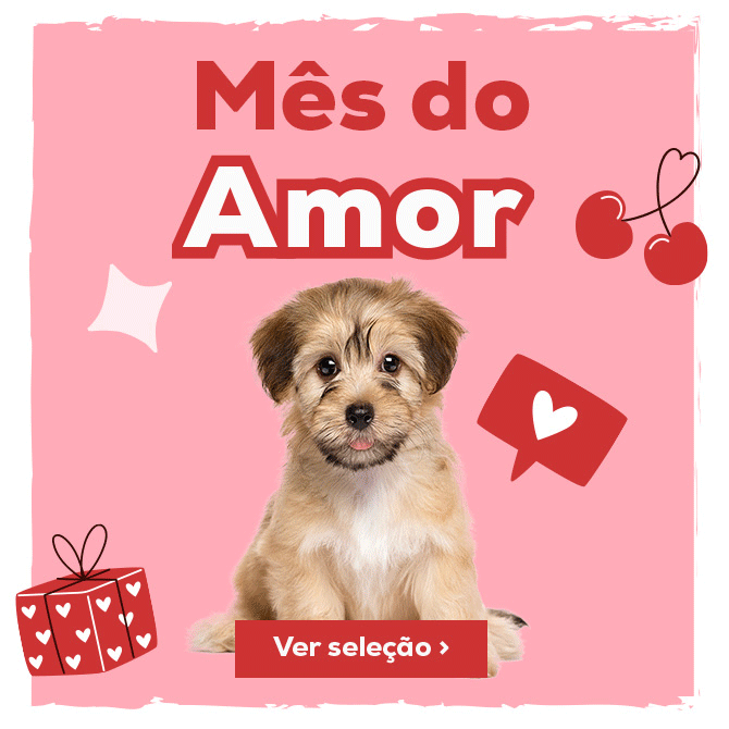 Mês do Amor: Até -30% numa seleção de acessórios para cão 
