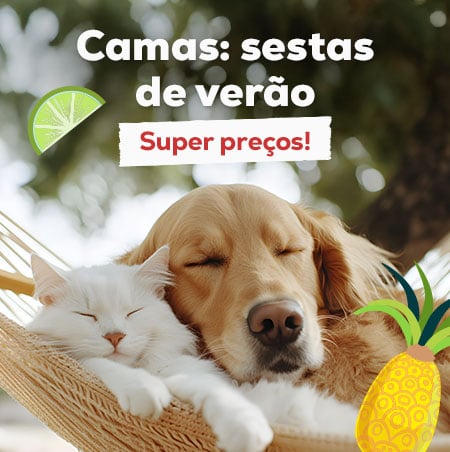 Sestas de verão: Super preços numa seleção de camas