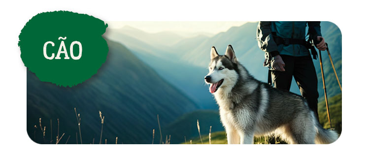 True Origins Wild cão