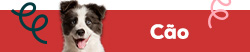 Descubra s marcas mais Animal Lovers para cão