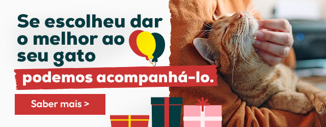 Famílias multiespécies: Acompanhamos-vos com os melhores conselhos