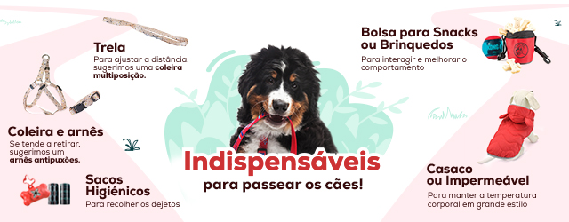 Post Blog Conselhos e produtos para passear com os seus animais