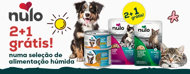 Nulo: 3 x 2 numa seleção de comida húmida