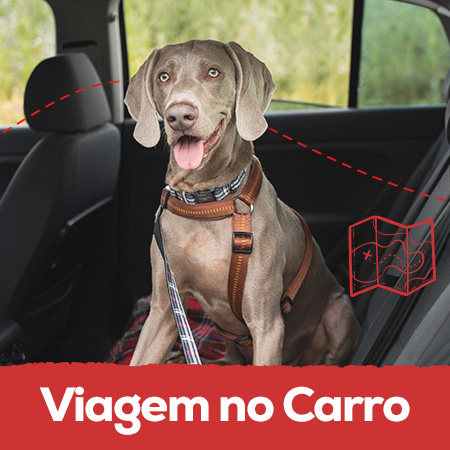 Viagem no carro