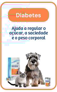 Nath Diabetic: ajuda a regular o açúcar, a saciedade e o peso corporal