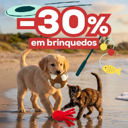 -30% numa seleção de brinquedos
