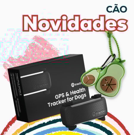 Descubra todas as novidades para cão