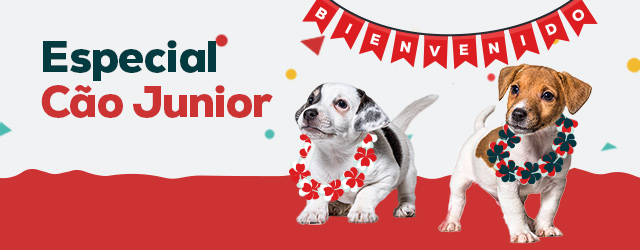 Loja do cão júnior: Tudo o que necessita para lhe dar as boas vindas!
