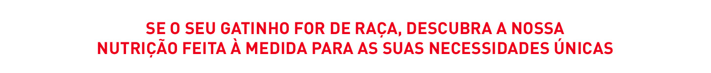 Royal Canin Raças: descubra a nutrição à medida para necessidades únicas