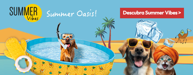 Summer Vibes: Desfrute de um bom mergulho este verão