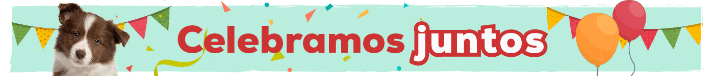 10º Aniversário: Até -50% numa seleção de acessórios para cão