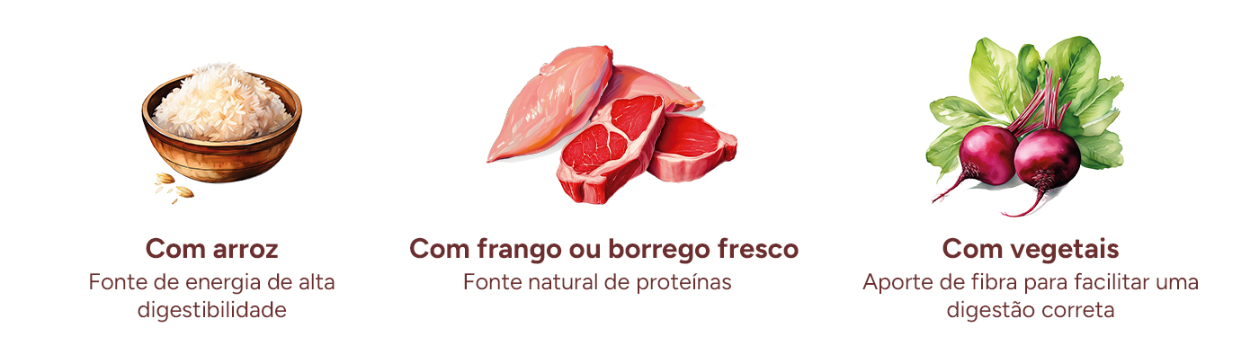 Criadores Monoproteico: com frango ou borrego fresco, vegetais e arroz.