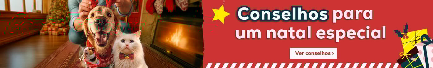 Conselhos para um natal especial