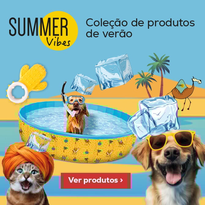 Summer Vibes: Aproveite um bom mergulho este verão