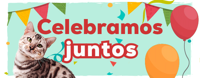 10º Aniversário: Até -50% numa seleção de acessórios para gato
