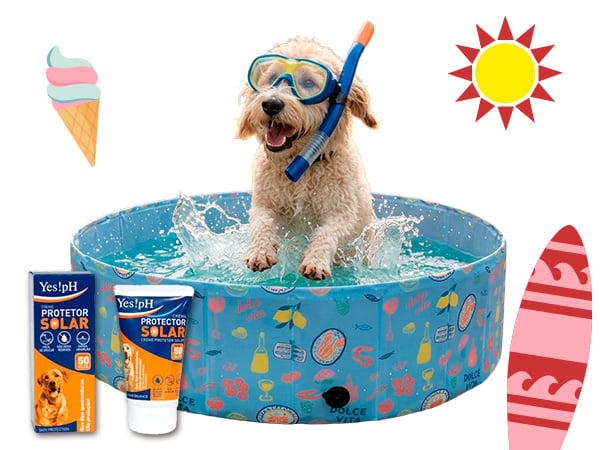 Piscinas e acessórios para cães