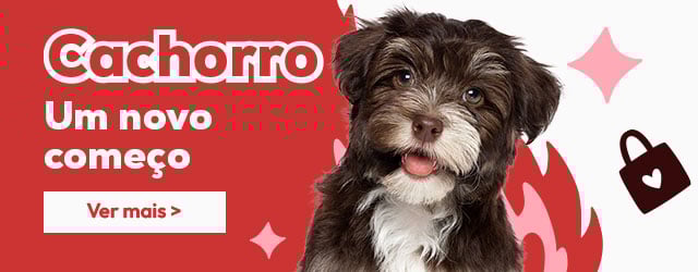 Catálogo cachorro: Tudo o que precisa para lhe dar as boas-vindas