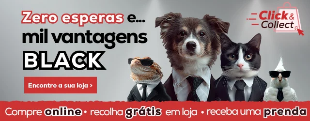Click & Collect na Black Friday