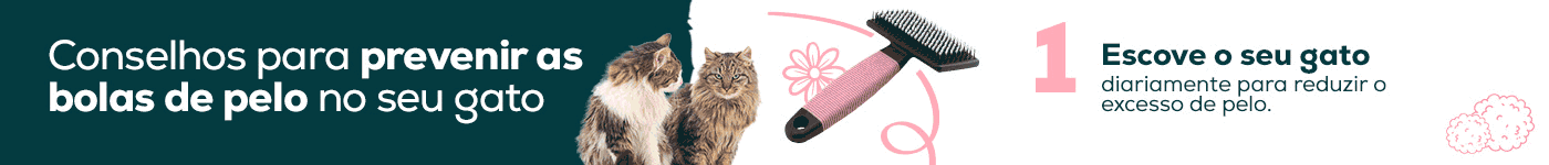 Como evitar as bolas de pelo no seu gato?