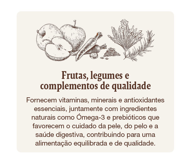 Frutas, verduras e suplementos de qualidade que fornecem vitaminas, minerais e antioxidantes que contribuem para uma alimentação equilibrada