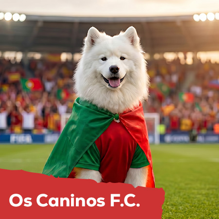 Seleção de futebol canina