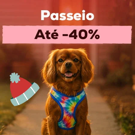 Até 40% de desconto em seleção de acessórios de passeio Até 40% de desconto em seleção de acessórios de passeio