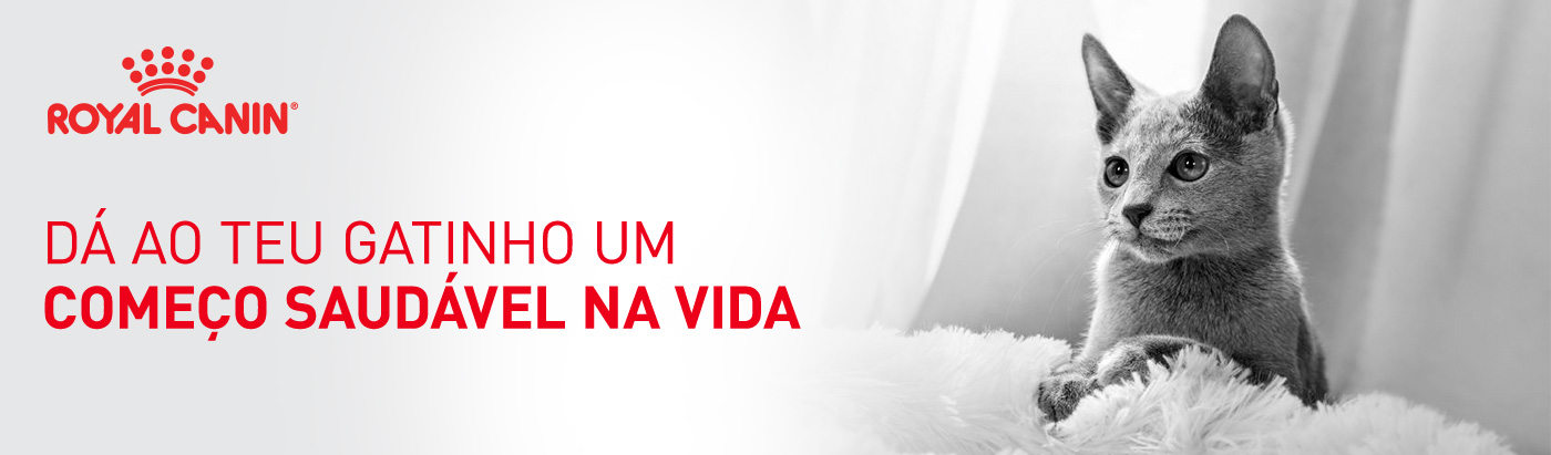 Dê ao seu gatinho um início de vida saudável com a Royal Canin