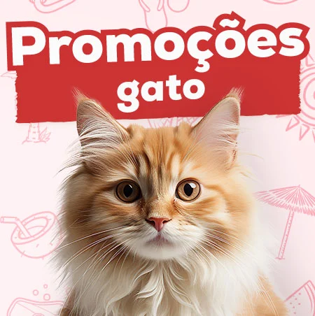 Promoções para gato