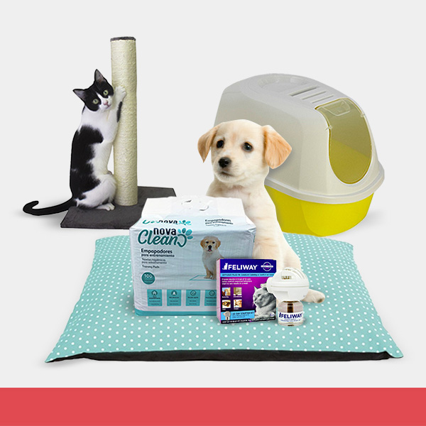 Todos os acessórios para o seu animal